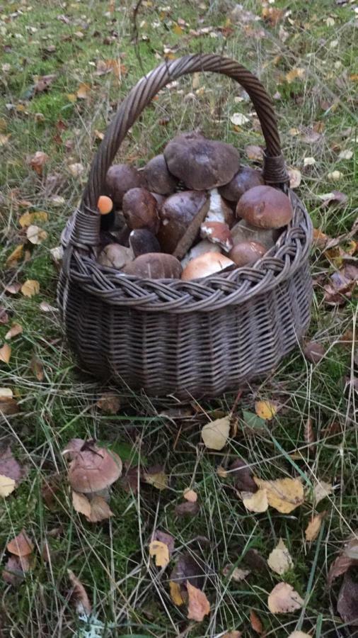 Pokoje Przy Warszawskiej Połczyn-Zdrój Exteriör bild